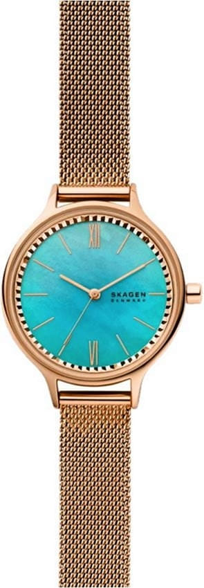 Наручные часы Skagen SKW2977