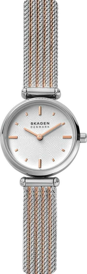 Наручные часы Skagen SKW2978