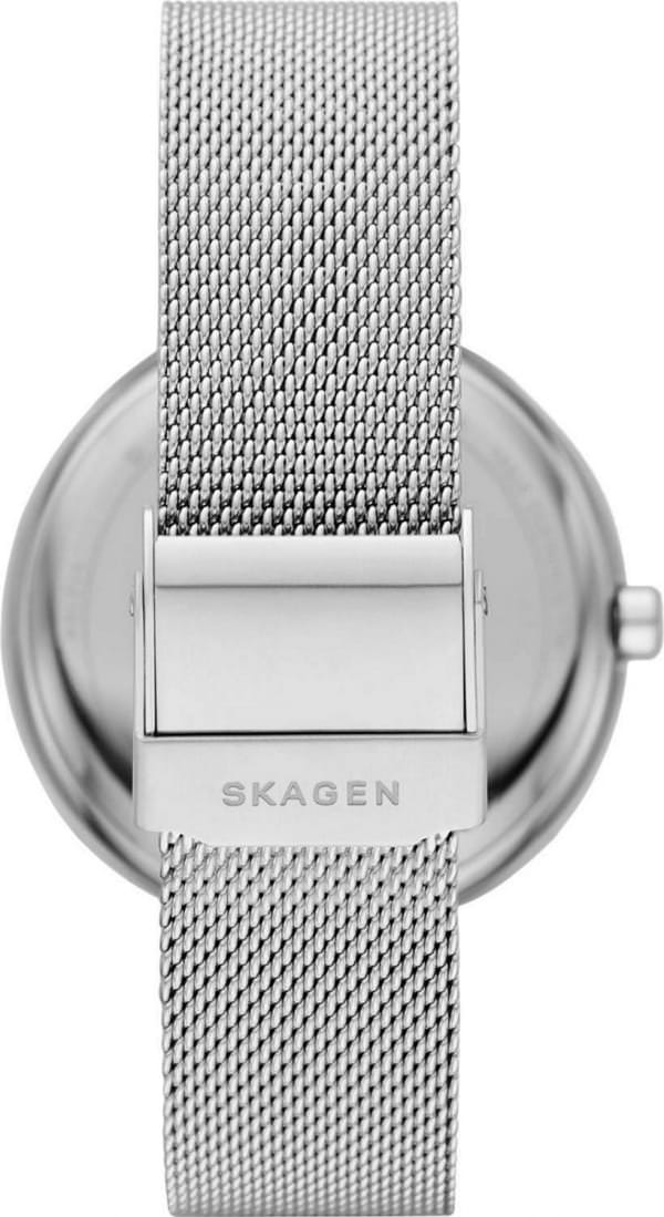 Наручные часы Skagen SKW2979 фото 4