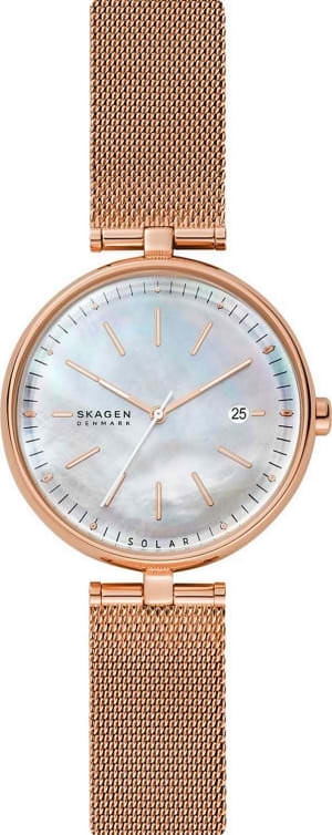 Наручные часы Skagen SKW2980