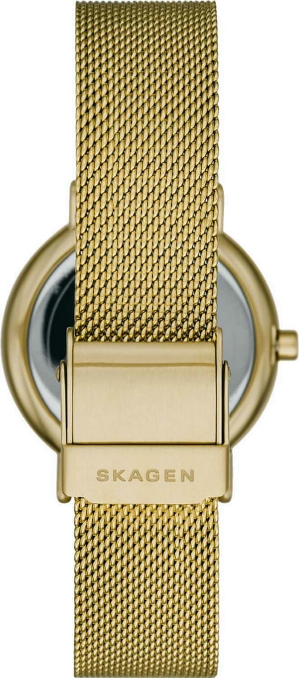 Наручные часы Skagen SKW2984 фото 4