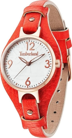 Наручные часы Timberland TBL.14203LSR/01