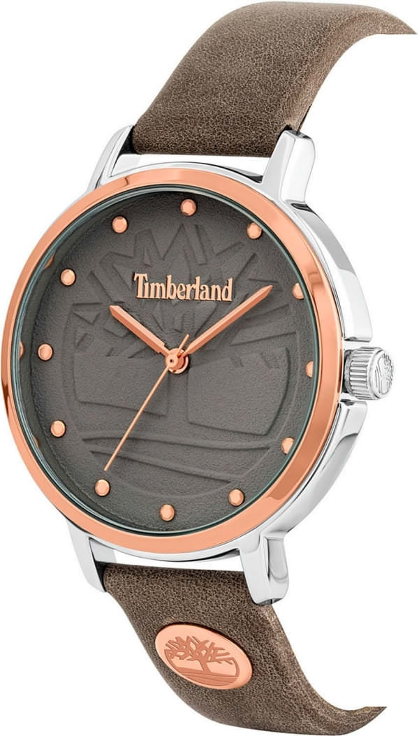 Наручные часы Timberland TBL.15960MYTR/79 фото 2