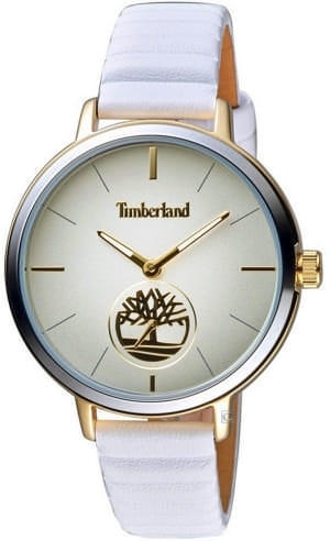 Наручные часы Timberland TBL.15992JYGS/13