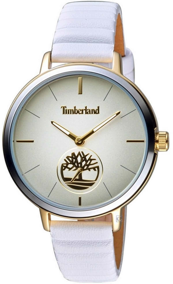 Наручные часы Timberland TBL.15992JYGS/13 фото 1